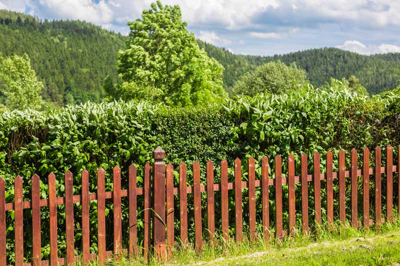 Charming red wooden picket fence bordering a lush green hedge with rolling hills and forested mountains in the background—capturing a scenic example of residential fencing in Lafayette, Indiana, blending rustic design with natural surroundings.