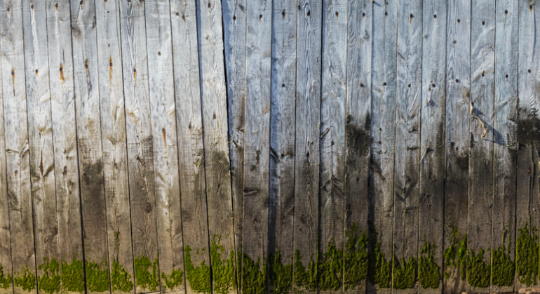 Part of a fence built from aged, gray wooden boards, weather-worn and streaked with dark discoloration, with green moss growing along the bottom.