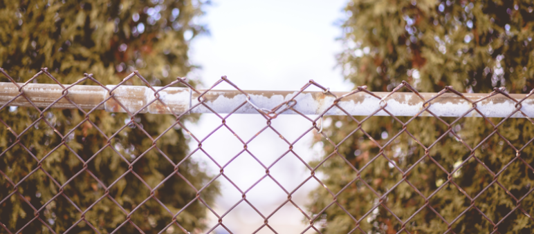Part of a fence made from rusty chain-link wire, topped with a thin layer of snow, with blurry evergreen trees in the background on a cold day.