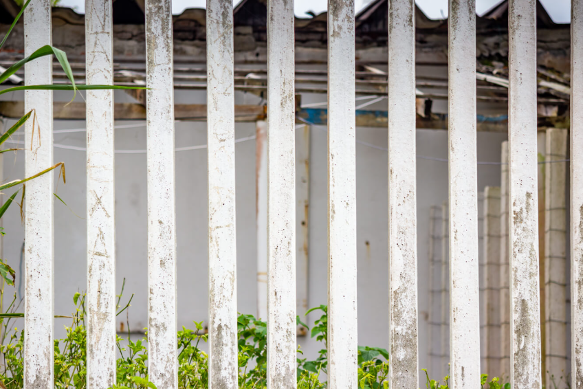 Close-up of vertical white wooden fence posts showing signs of weathering and decay, with visible discoloration, peeling paint, and mold growth that is a clear example of fence post rotting in a neglected outdoor space surrounded by overgrown greenery and a deteriorating building in the background.