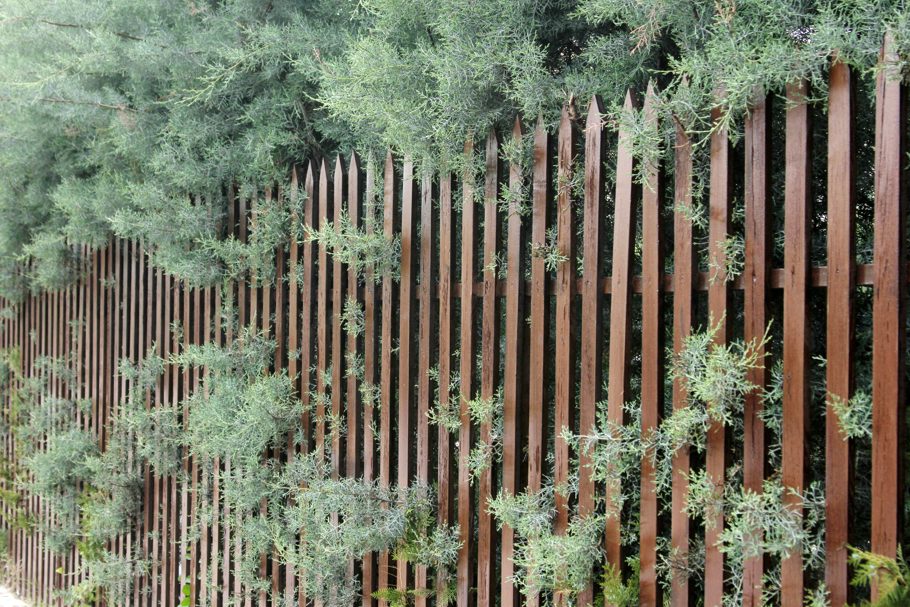 A tall wooden picket fence with pointed tops stretches along a boundary line, partially covered by dense green foliage and climbing plants. The natural integration with greenery suggests a rustic, privacy-enhancing option for homeowners wondering how much for wood fence installation that blends seamlessly with landscaping.